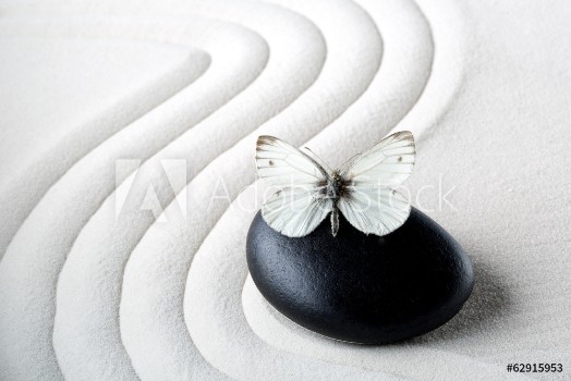 Image de Zen stone with butterfly